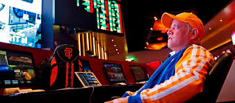 Как войти на сайт Vulkan Maximum Casino